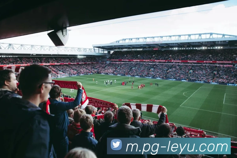 国际认证